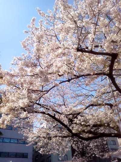 090403_ueda_01.jpg